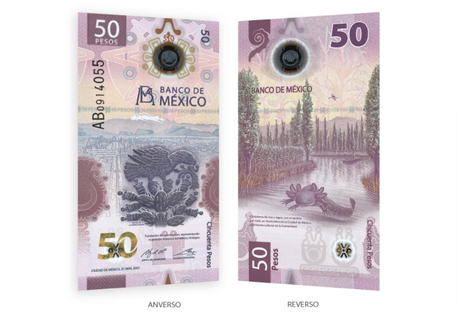 Entra en circulación nuevo billete de 50 pesos: así lo reconocerás